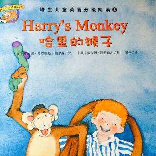 Harry's  Monkey（哈里的猴子）