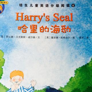 Harry’s  Seal（哈里的海豹）