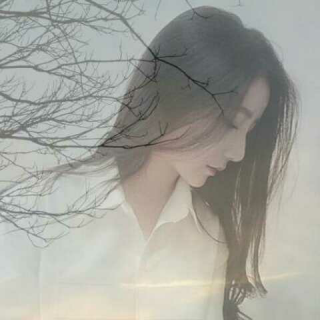 可念不可说——崔子格