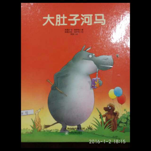 大肚子河马