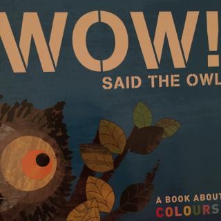 WOW，Said the owl