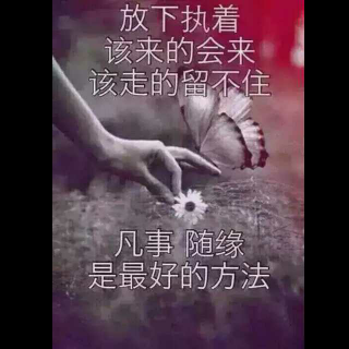 有个人，在心里、想放弃，舍不得、想忘记，做不到