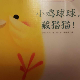 小鸡球球，藏猫猫！