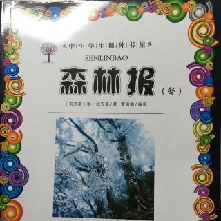 森林报●冬●雪覆小径月●展开围捕