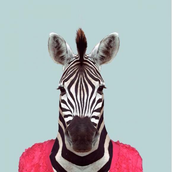 走着走着就累了