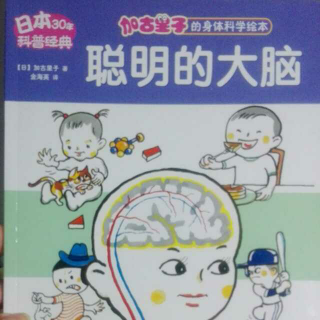 聪明的大脑