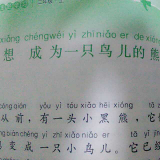 想成为一只鸟儿的熊