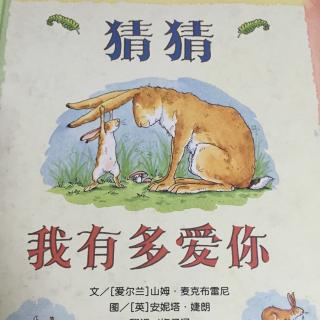 猜猜我有多爱你