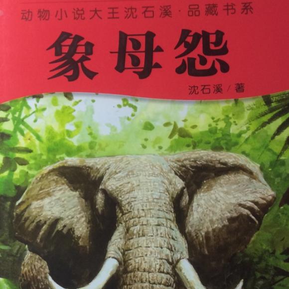 象母怨(12) 元旦特辑