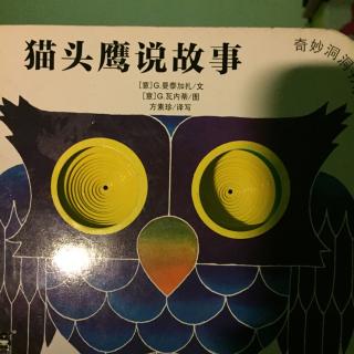 米多妈晚安绘本（洞洞书系列）《猫头鹰说故事》