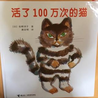 麦兜妈妈讲故事9《活了100万次的猫》