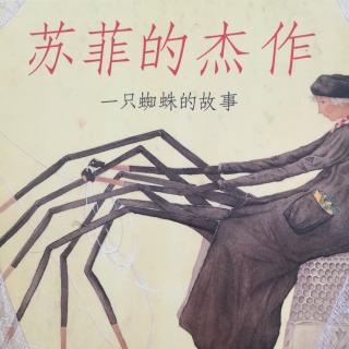 苏菲的杰作🕷️