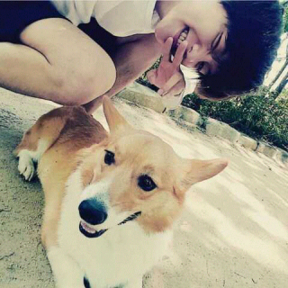 『边梦龙日记.第一弹』by边核桃