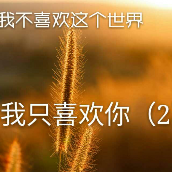 我不喜歡這個世界,我只喜歡你2