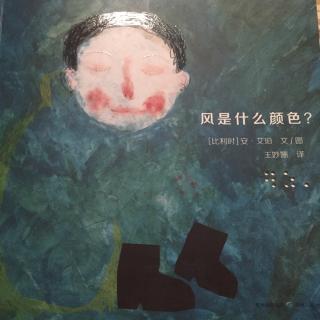 绘本《风是什么颜色》