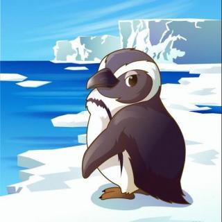 【胡图图的童话世界】008 小企鹅的故事（下）
