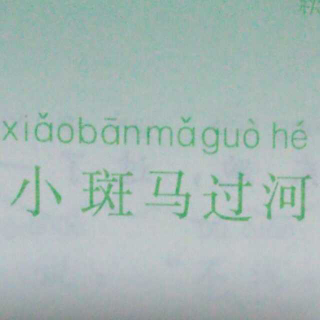 小斑马过河