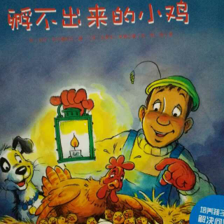 孵不出来的小鸡