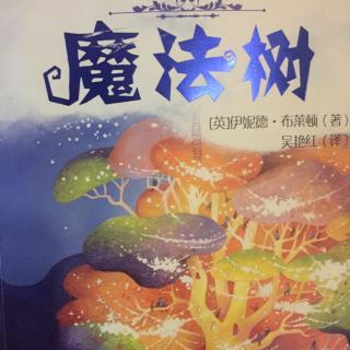 魔法树（1）