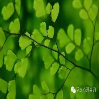 给心理治疗师的礼物--十三 十四 治疗师有多个病人  此时此地