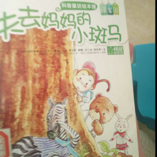 失去妈妈的小斑马