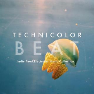 Indie Feed_Technicolor Beat_你的入门电音歌单