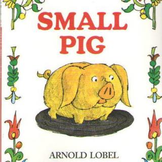 small pig 