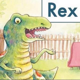 海尼曼 rex 讲解