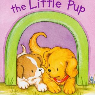 Biscuit and the Little Pup【I Can Read饼干狗系列】