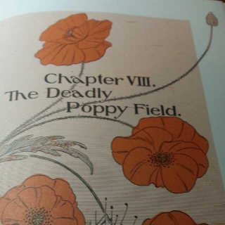 The wonderful wizard of OZ (Chapter VIII The Deadly Poppy Field )