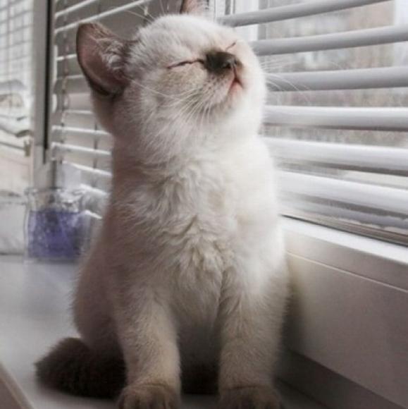 第1部分:无畏施～11谁是我的下一任