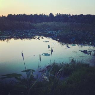 荷塘月色-Moonlight over the Lotus Pond（中英）