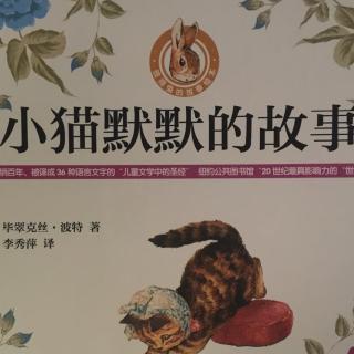 小猫默默的故事