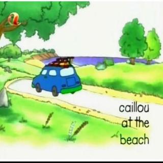 6-01 Caillou at the beach