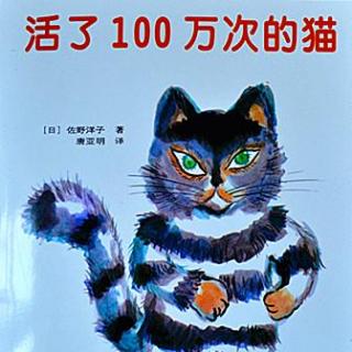 活了100万次的猫