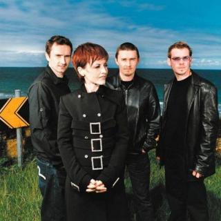 Roses--The Cranberries
