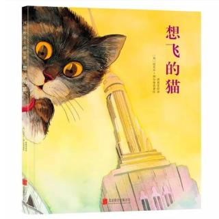 我爱故事 之 《想飞的猫 🐱》