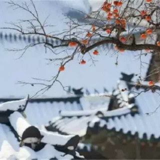 凨舞诗词——临江仙｜初雪