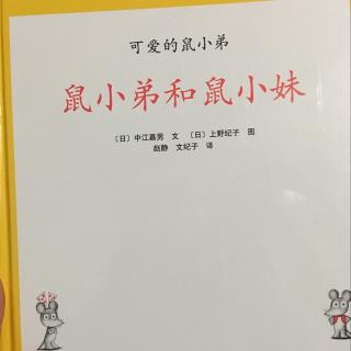 儿童绘本六 : 鼠小弟和鼠小妹