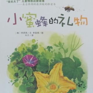 节目180 多多妈妈读绘本《小蜜蜂的礼物》---宽容、理解、合作