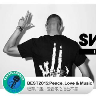 糖蒜爱音乐－BEST2015：Peace, Love & Music