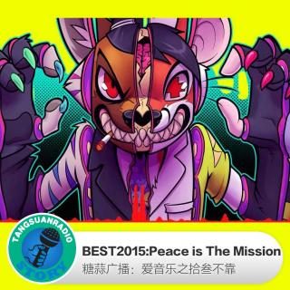 糖蒜爱音乐－BEST2015:Peace is The Mission