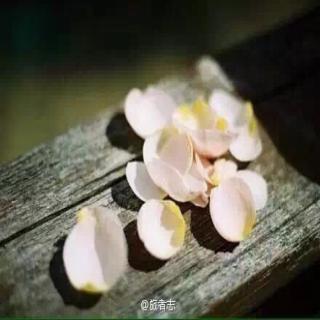 给心理治疗师的礼物--十九 “此时此地”能推动治疗