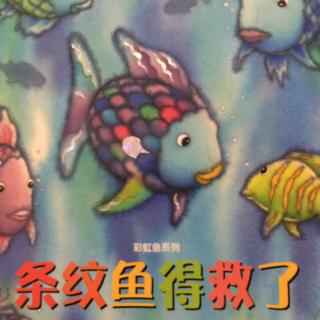 【绘本故事39】条纹鱼得救了