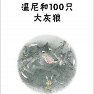 温尼和100只大灰狼