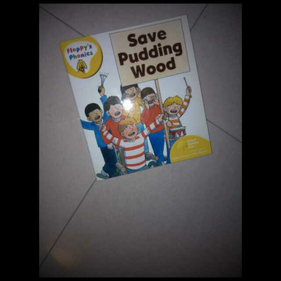 daisy 暖暖 save pudding wood2016019