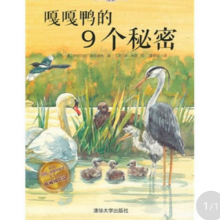 绘本《嘎嘎鸭的9个秘密》