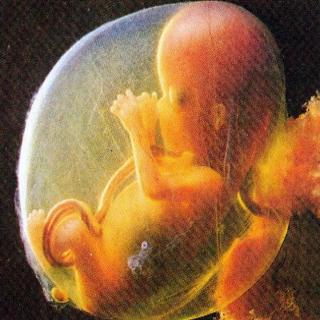 孕妇课堂第五讲     致命的杀手——胎儿宫内乏氧