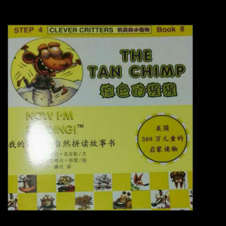THE TAN CHIMP棕色的猩猩