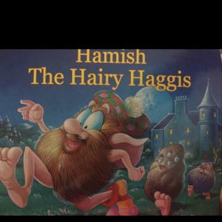 Hamish The Hairy Haggis